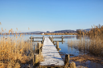 Pfäffikersee mit Schilfrohr, Fischersteg, Möwen und Raureif, Teil UNESCO Weltkulturerbe