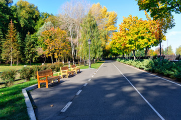 Park in the autumn
