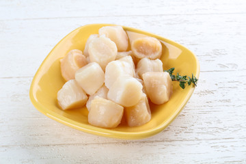 Raw scallops