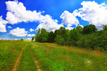 Summer landscape with green grass, road and clouds