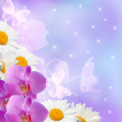 Daisy with orchids and stars