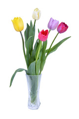 Colorful tulips in vase isolated on white