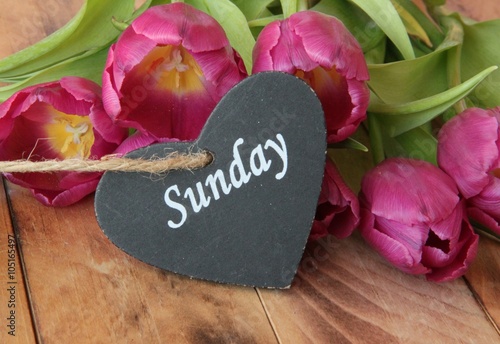 Grüße Zum Sonntag Sonntag Sprüche 74 Schönen Und Lustige