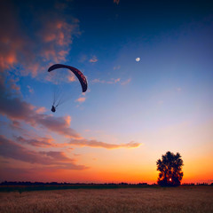 Paraglide in a sunset sky