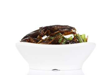 Fried crickets isolate on white
