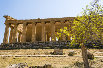 Fototapeta na wymiar Concordia Temple. Valley of the Temples, Agrigento on Sicily, Italy