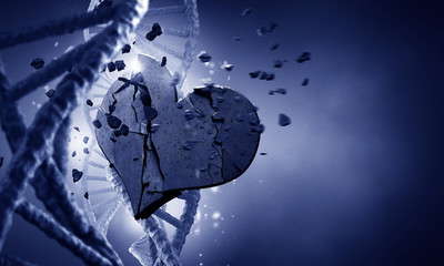 DNA molecule and heart