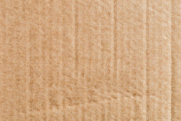Fototapeta premium Cardboard texture or background