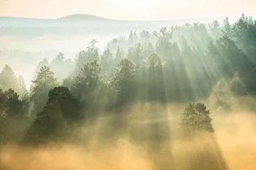 Fotobehang rays of the sun breaking through the fog © Alexander Gogolin