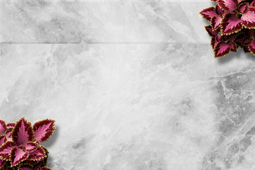 Marble Funeral Background