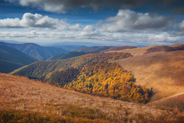 Naklejka na ściany i meble Red autumn in a Carpathian mountains