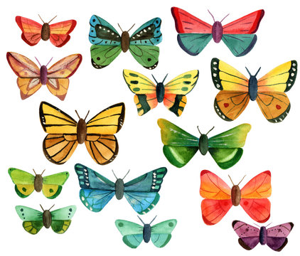Set of many different watercolor butterflies on white background