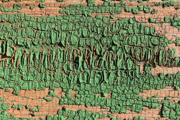 Fototapeta premium Old weathered cracked painted wall of an old village house
