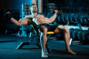 Fototapeta premium Bodybuilder exercising with weights 