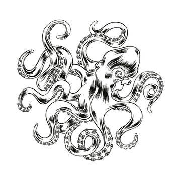 Octopus hand drawn vector illustration. Engraved vector octopus