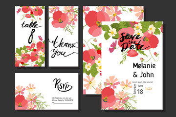 Floral background poppy and cosmos strawberries vector illustration