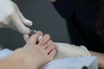 Pdicure cuticle removing with forceps in white gloves