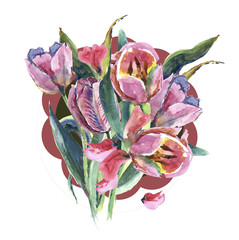 pink tulips, spring, watercolor