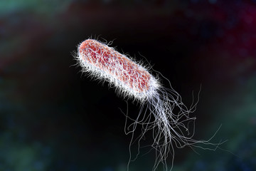 Fototapeta premium Bacterium Pseudomonas aeruginosa on colorful background, antibiotic-resistant nosocomial bacterium. Illustration shows polar location of flagella and presence of pili on the bacterial surface