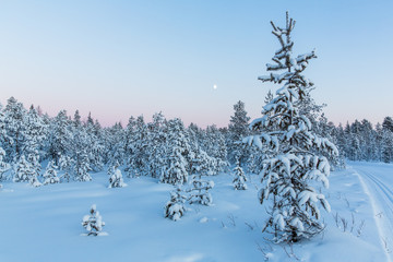 Tief verschneite Landschaft in Lappland