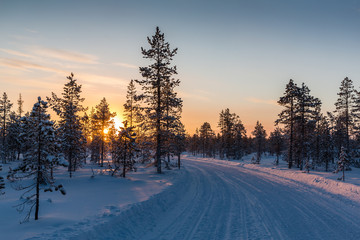 Sonnenaufgang im winterlichen Lappland
