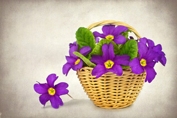 Easter flowers in the basket on grunge background