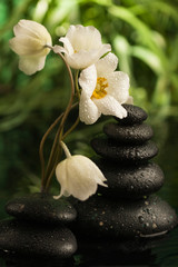 Pyramid of black stones and white flower