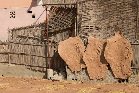 leather drying in a tannery in Taroudant