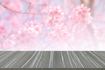 Naklejka na ściany i meble empty wooden table with wild himalayan cherry flower blur backgr