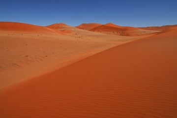 Fototapeta na wymiar Sanddüne im Namib-Naukluft-Park