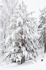 Brick wall background