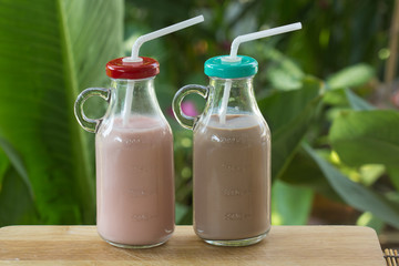 Fresh Chocolate and Strawberry flavor Milk