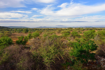 Fototapeta na wymiar Damaraland landscape, Namibia, Africa