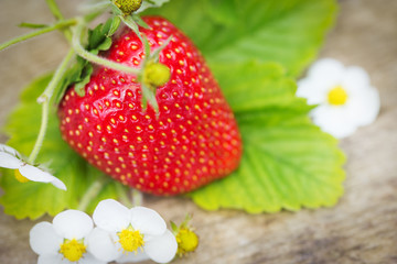 Perfect sweet ripe strawberries on wooden background