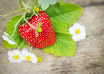 Brick wall background