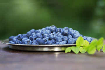 Golden shiny background