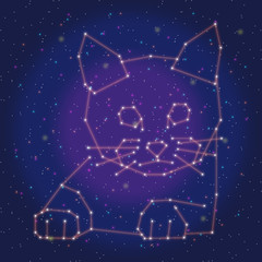 asterism design orange cat