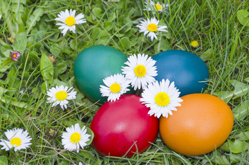 Easter Eggs in the Grass Closeup