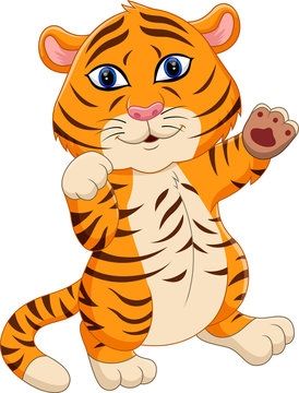 illustration of cute baby tiger cartoon