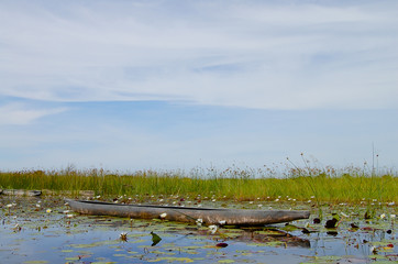 Makoro - Okavango Delta - Botswana
