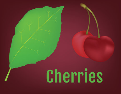Cherries with Leaves vector illustration. Smoothie Ingredients. Raw Vegan Recepie Ingredients. Digital background.