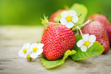 Perfect sweet ripe strawberries on wooden background