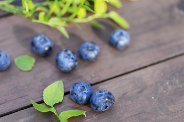 Fresh ripe blueberries outdoors