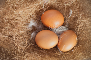 Easter eggs on hay