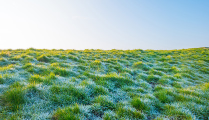 Frozen dike in sunlight in winter