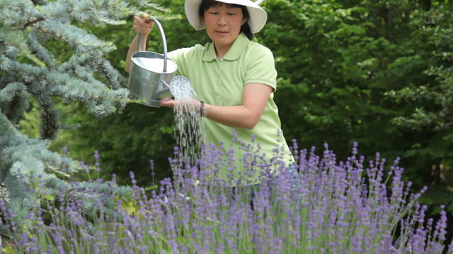 Mature Asian woman watering garden