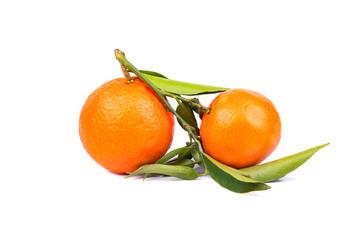 Fruit tangerine