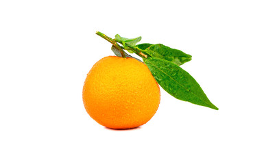 Fruit tangerine