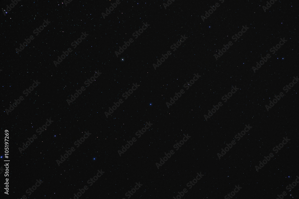 Wall mural ursa major