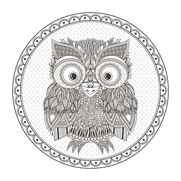 Vector zentangle owl illustration. Ornate patterned bird.